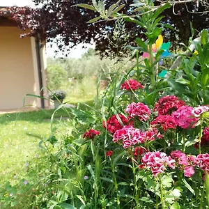 A La Maison Bed & Breakfast Reggello